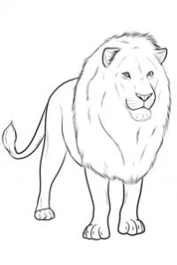 Drawing a Realistic Lion, Easy Tutorial, 11 Steps 23 drawing a realistic lion step 11 1 000000185971 3 - Drawing a Realistic Lion, Easy Tutorial, 11 Steps
