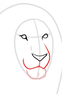 Drawing a Realistic Lion, Easy Tutorial, 11 Steps 14 drawing a realistic lion step 3 1 000000185963 3 - Drawing a Realistic Lion, Easy Tutorial, 11 Steps