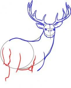 How to Draw a Deer, Easy Drawing Tutorial, 7 Steps 15 how to draw a deer step 4 1 000000000945 3 - How to Draw a Deer, Easy Drawing Tutorial, 7 Steps