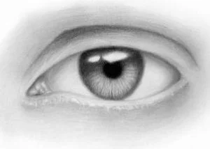 How to Sketch an Eye, Easy Tutorial, 10 Steps 19 how to sketch an eye step 8 1 000000125529 3 - How to Sketch an Eye, Easy Tutorial, 10 Steps