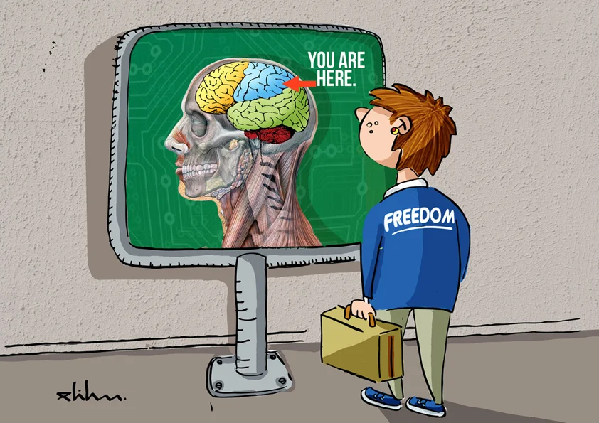 Freedom 11 freedom72 - Freedom