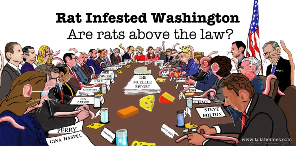 Rat Infested Washington 11 The Rat Pack Cabinet jpeg copy 2 - Rat Infested Washington