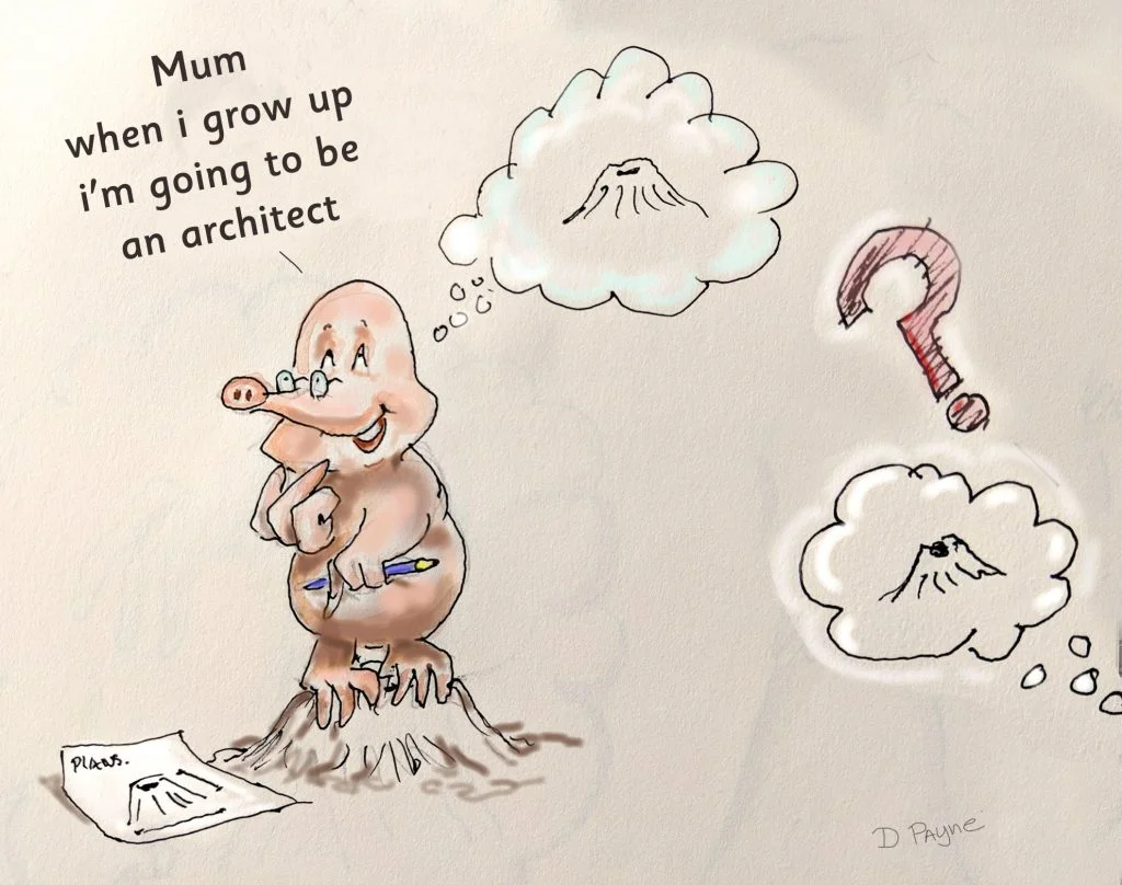 The dream 11 When i grow up 2 - The dream