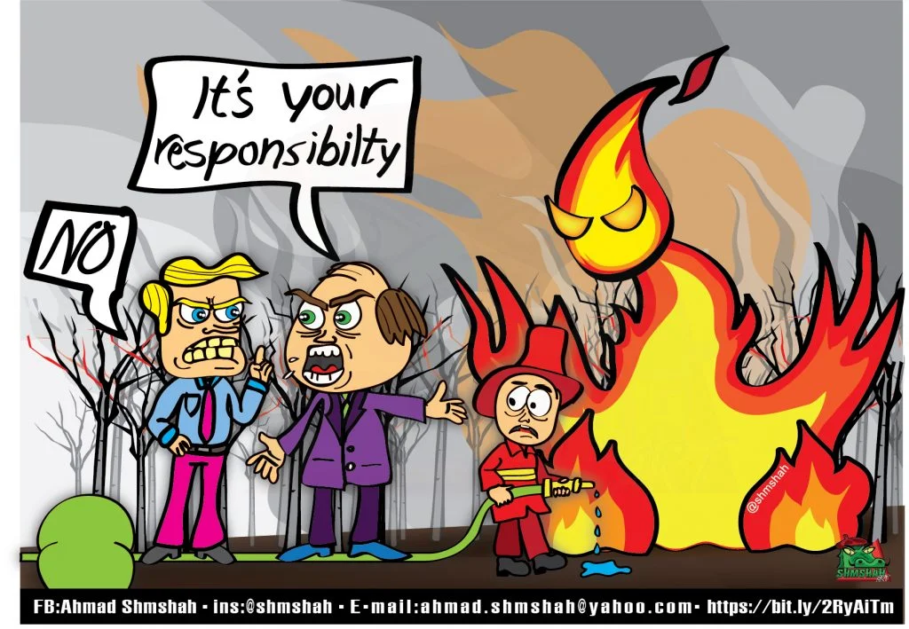 Amazon forest fires 11 Amazon forest fires cartoon