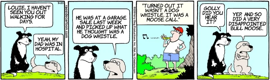 Adrian Raeside 13 Comics: Adrian Raeside