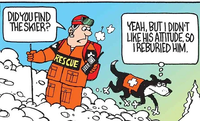 Adrian Raeside 19 Cartoon: Adrian Raeside