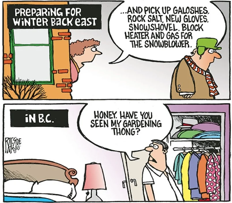 Adrian Raeside 15 Comics: Adrian Raeside