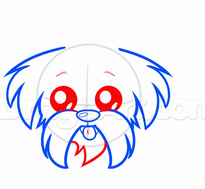 How to Draw a Shih Tzu, Easy Drawing Tutorial, 8 Steps 14 Step 3 17 - How to Draw a Shih Tzu, Easy Drawing Tutorial, 8 Steps
