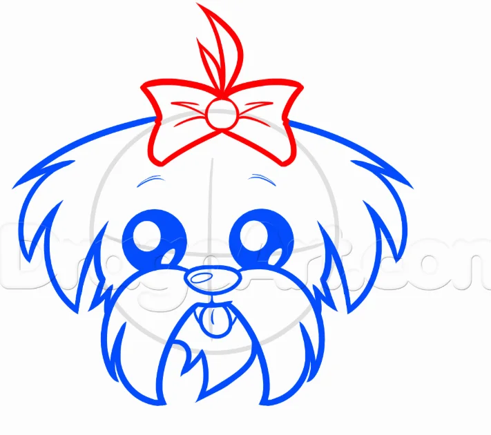 How to Draw a Shih Tzu, Easy Drawing Tutorial, 8 Steps 15 Step 4 17 - How to Draw a Shih Tzu, Easy Drawing Tutorial, 8 Steps