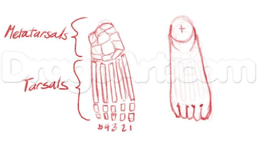 How to Draw Anime Legs, Easy Drawing Tutorial, 16 Steps 15 Step 4 7 - How to Draw Anime Legs, Easy Drawing Tutorial, 16 Steps