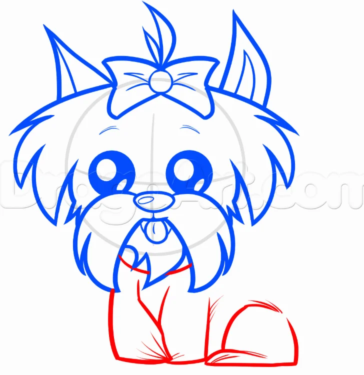 How to Draw a Shih Tzu, Easy Drawing Tutorial, 8 Steps 17 Step 6 15 - How to Draw a Shih Tzu, Easy Drawing Tutorial, 8 Steps