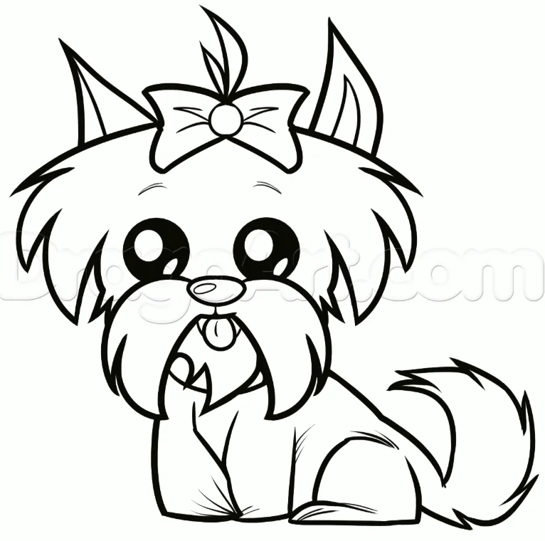 How to Draw a Shih Tzu, Easy Drawing Tutorial, 8 Steps 19 How to Draw a Shih Tzu Final