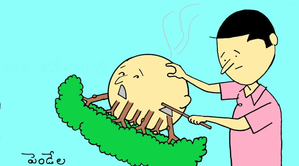 Do not destroy the Earth 11 forest 1 - Do not destroy the Earth