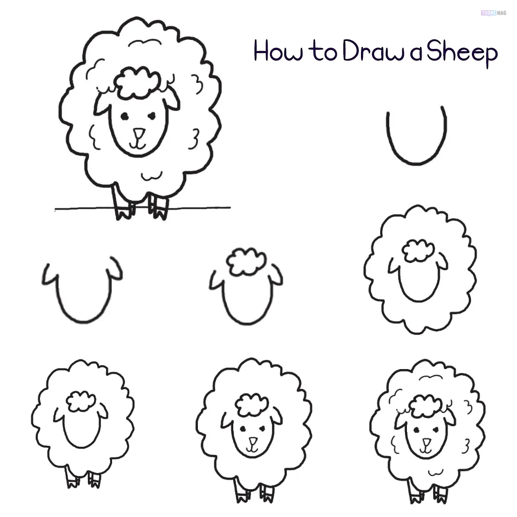 How to Draw a Sheep Easy Tutorial 14 How to Draw a Sheep Easy Tutorial