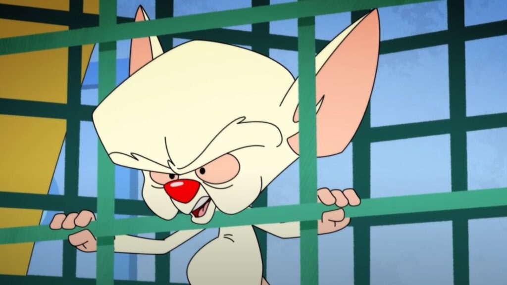 Pinky and the Brain (1995–1998): A Journey into the World of Animated Genius 16 Pinky and the Brain, Image: © Cartoon Network/The WB/Kids' WB, Image Source: Amazon Prime Video