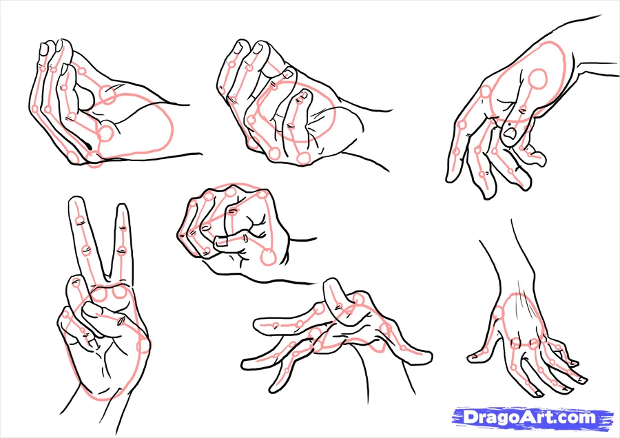 How To Draw Realistic Hands, Draw Hands, Step by Step, Drawing Guide, by  catlucker - DragoArt