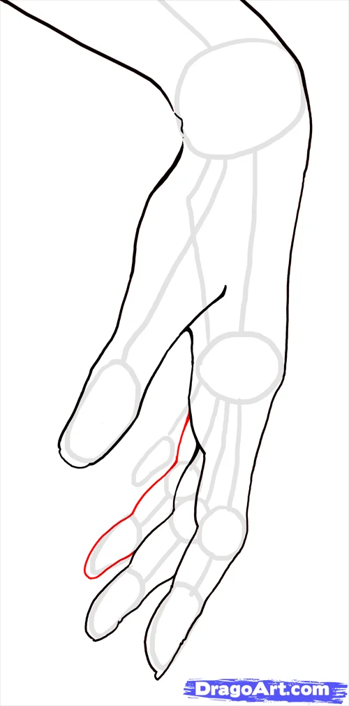 how to draw hands step 17 - How to Draw Hands, Easy Tutorial, 22 Steps