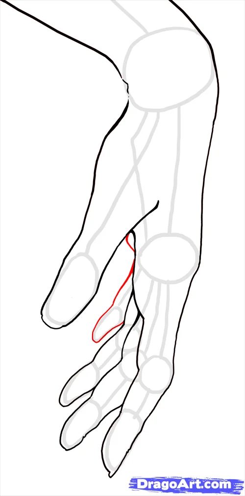 how to draw hands step 18 - How to Draw Hands, Easy Tutorial, 22 Steps