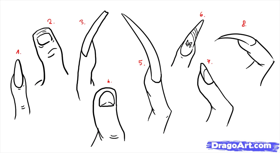 how to draw hands step 3 - How to Draw Hands, Easy Tutorial, 22 Steps
