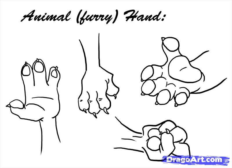 how to draw hands step 8 - How to Draw Hands, Easy Tutorial, 22 Steps