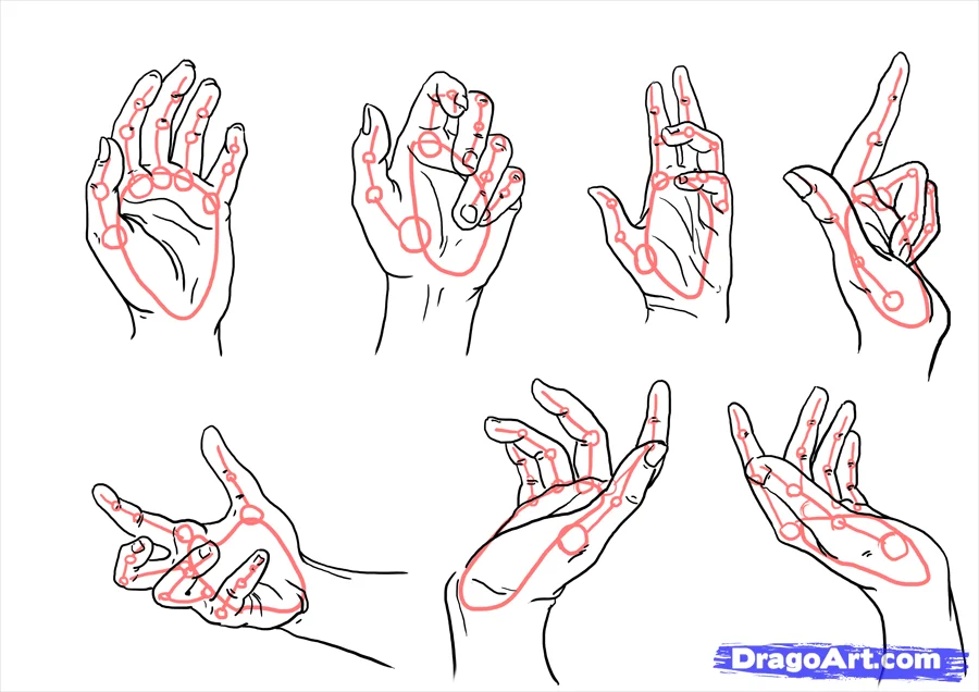 how to draw hands step 9 - How to Draw Hands, Easy Tutorial, 22 Steps