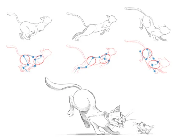 The Secrets In Drawing Animals, Easy Tutorial, 5 Steps - Toons Mag