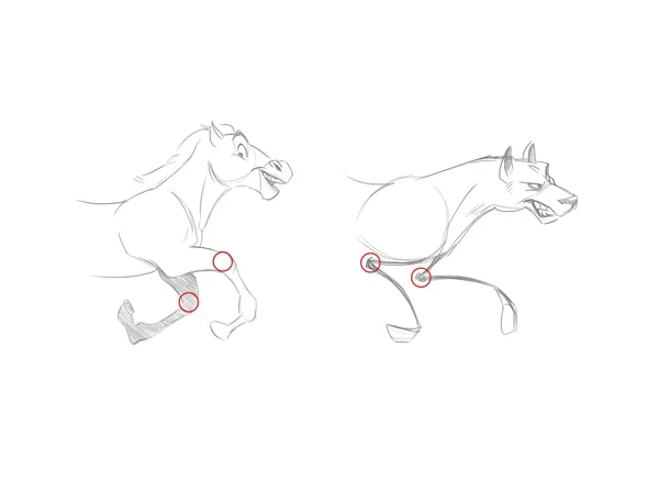 cartoonanimals 11 - The Secrets in Drawing Animals, Easy Tutorial, 5 Steps