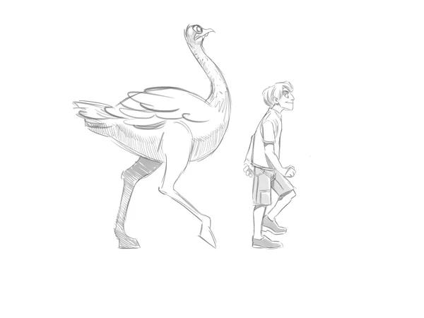 The Secrets in Drawing Animals