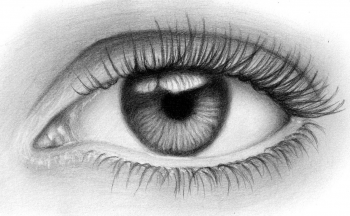 Tutorial of drawing human eye. Eye in anime style. female eyelashes