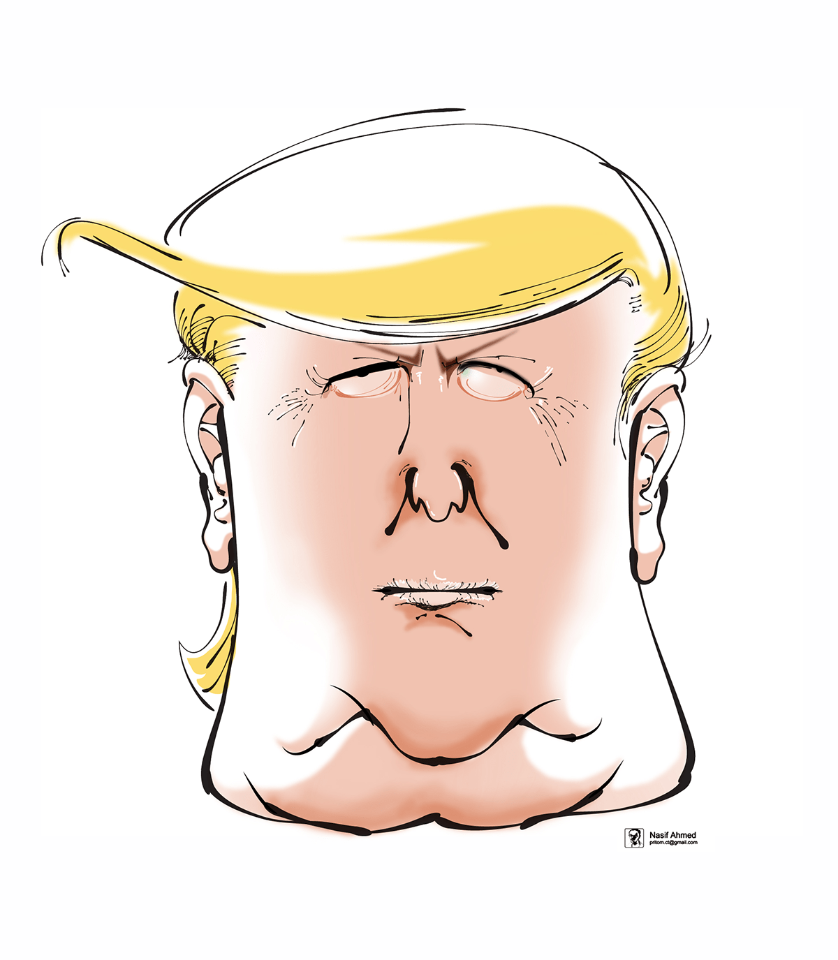 Donald Trump, after midterm elections in the United States Donald Trump, after midterm elections in the United States