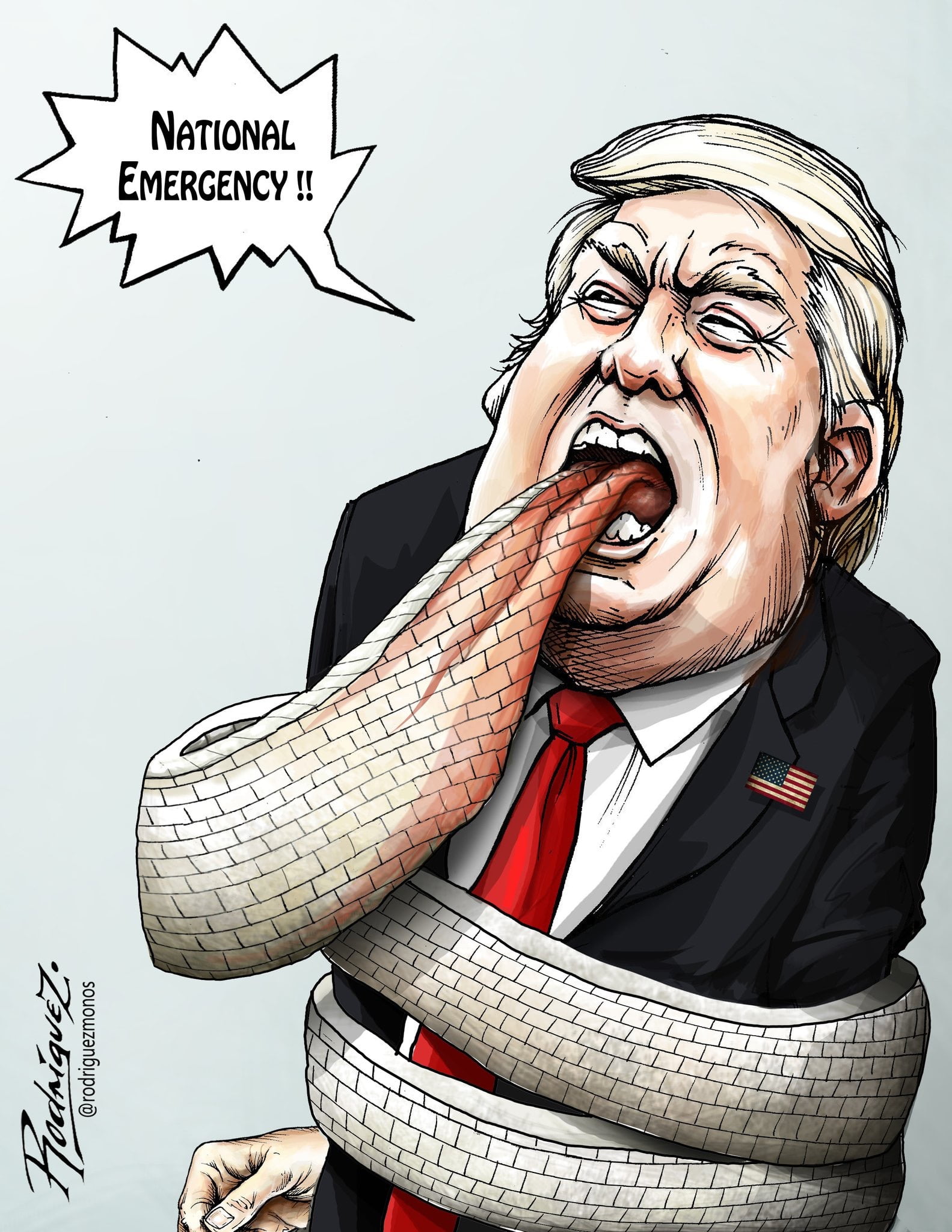 41FEA4DC 8A76 4148 8532 5F1F2B33CF76 - National Emergency of Trump