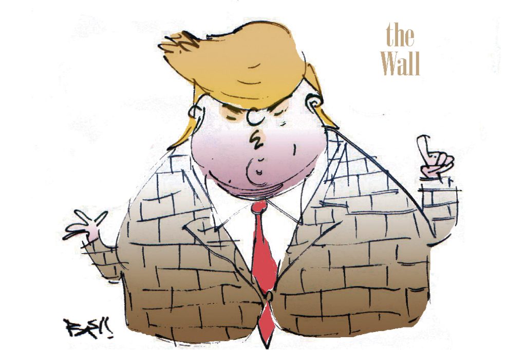 El Mister Donald Trump Cartoon