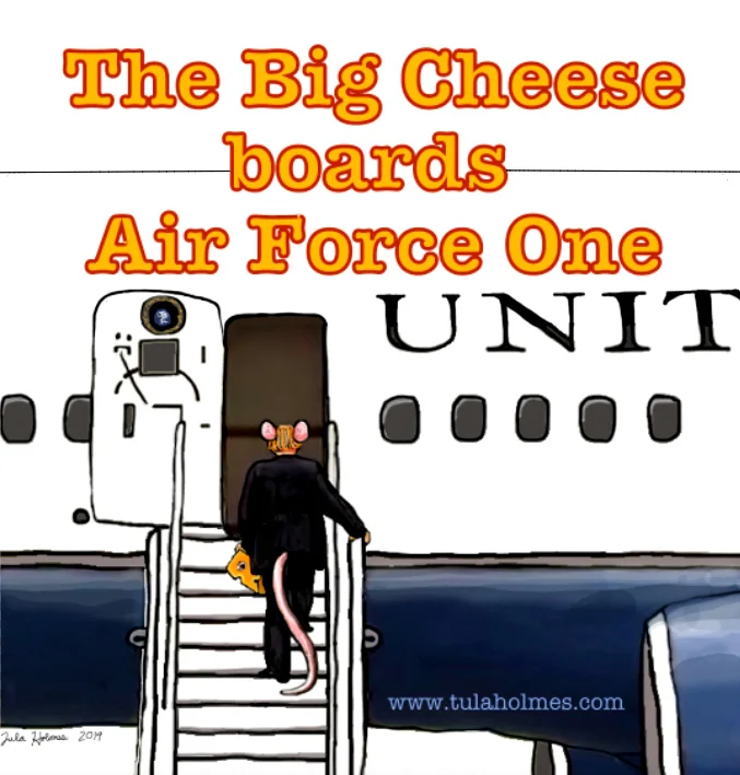 The Big Cheese Boards Air Force One Final - Rat Infestation