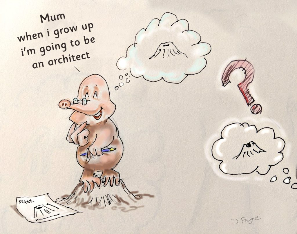 The dream 11 When i grow up 2 - The dream