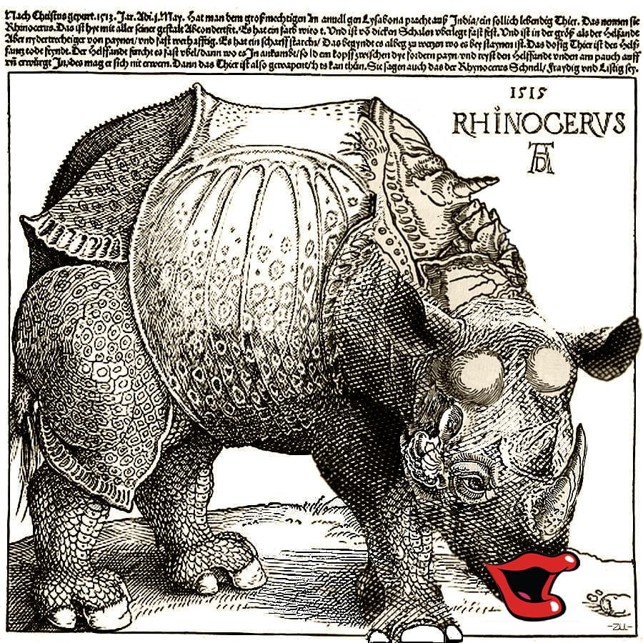 190525 csókos rinó - Rhino-kiss