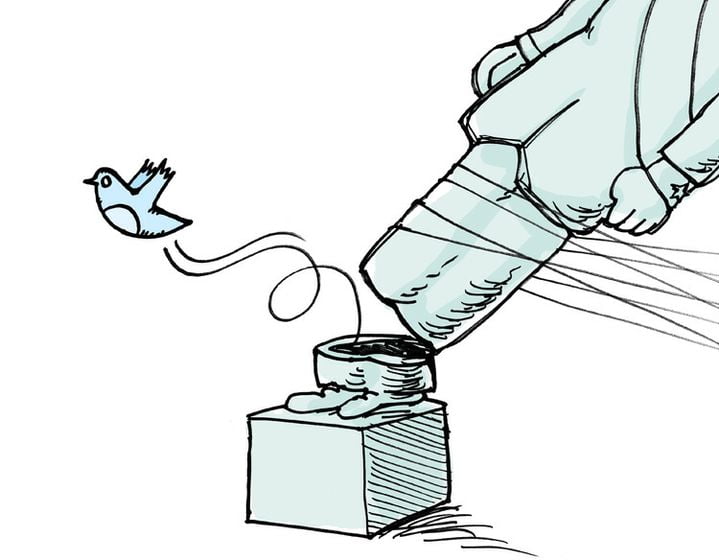 Twitter freedom Twitter freedom