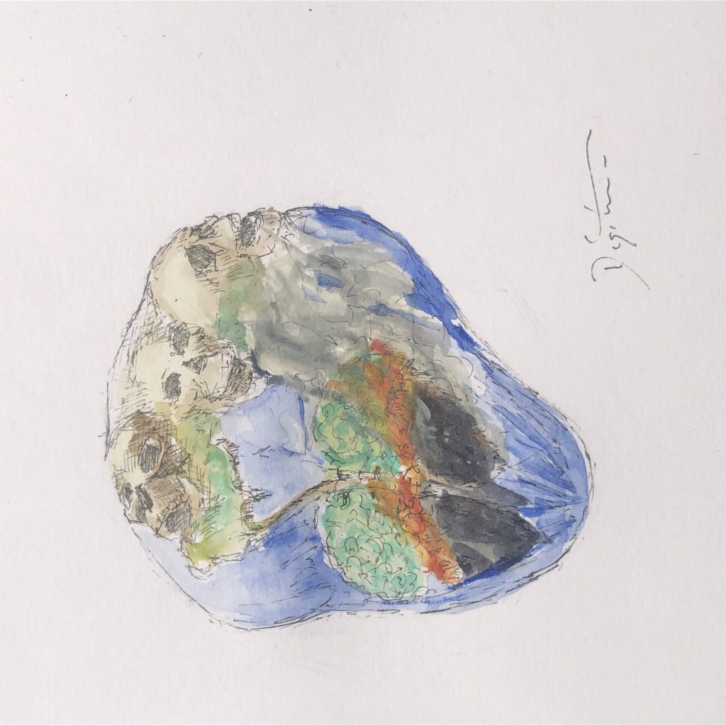 85047725 4397 4EEF 9696 27054F73F2B5 - Picture Of The Day: Amazon fire