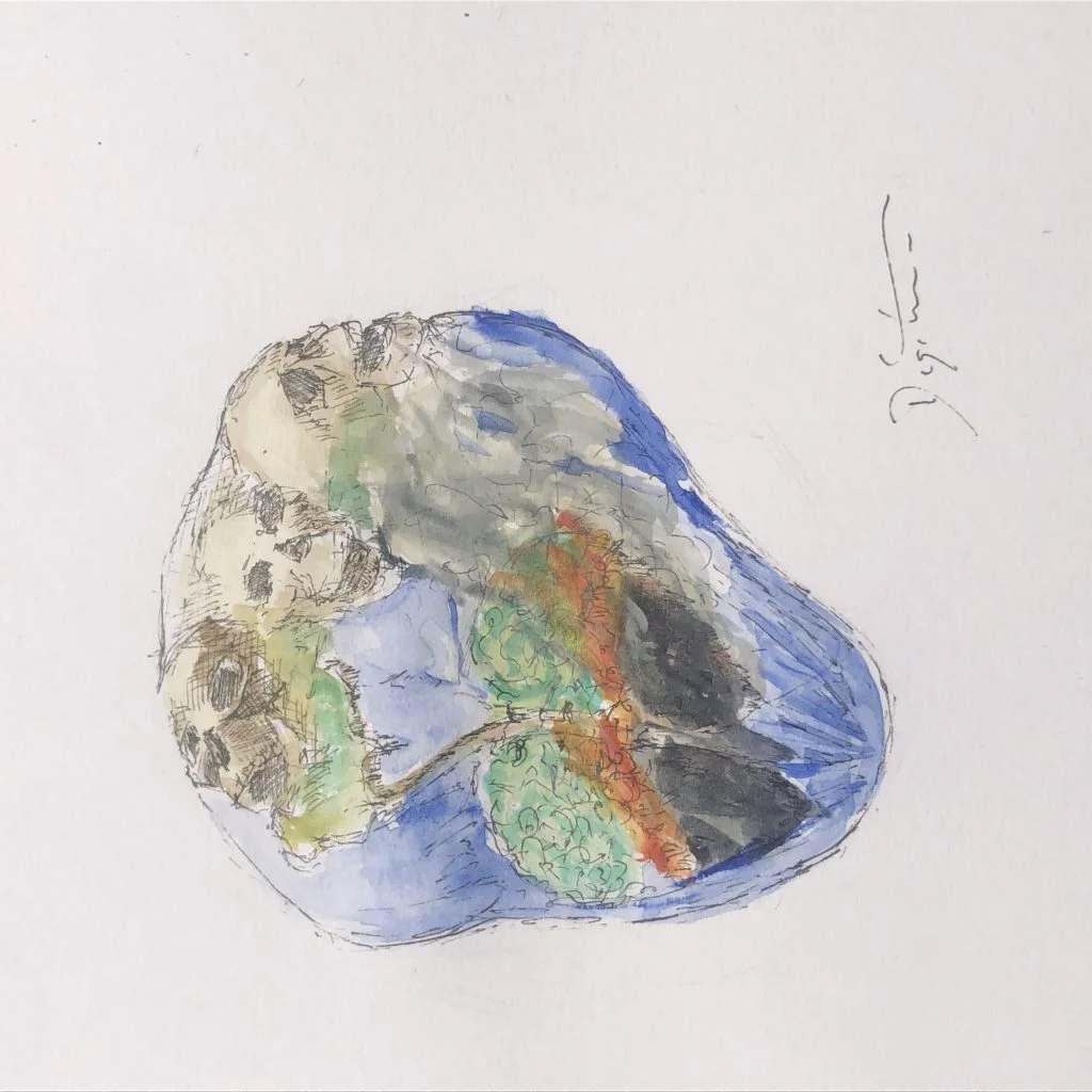 85047725 4397 4EEF 9696 27054F73F2B5 - Picture Of The Day: Amazon fire