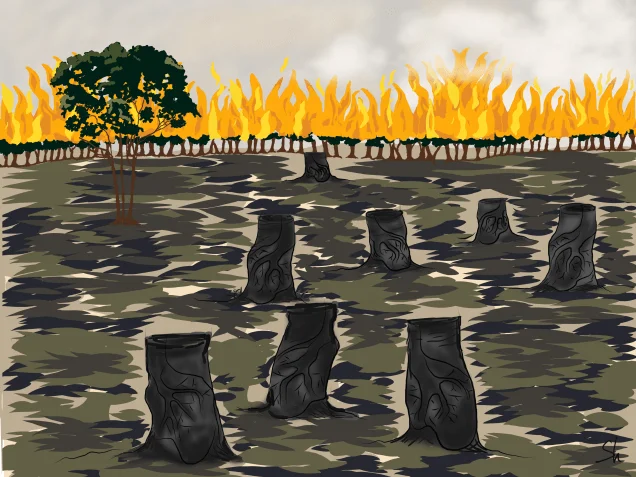 Amazon: Lung in the world