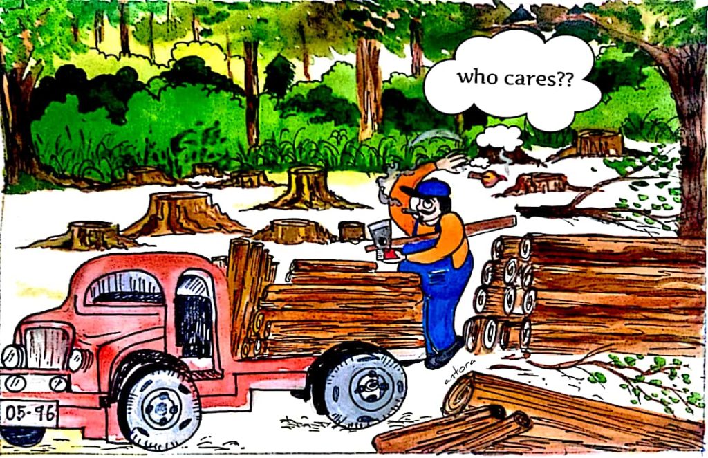 Amazing Amazon Cartoon