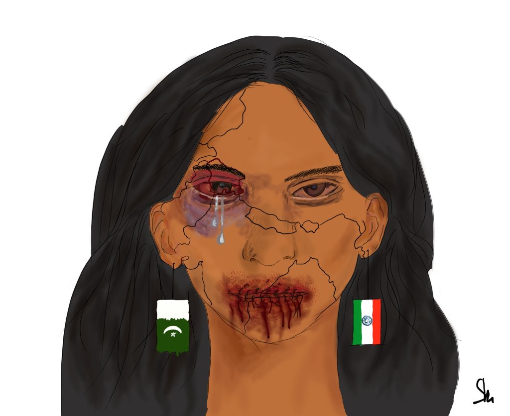 Kashmir 11 Kashmir cartoon