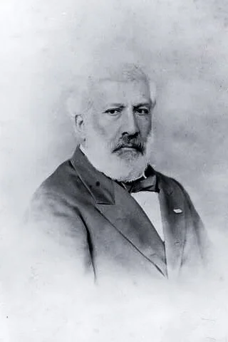 Manuel José de Araújo Porto-Alegre Photo