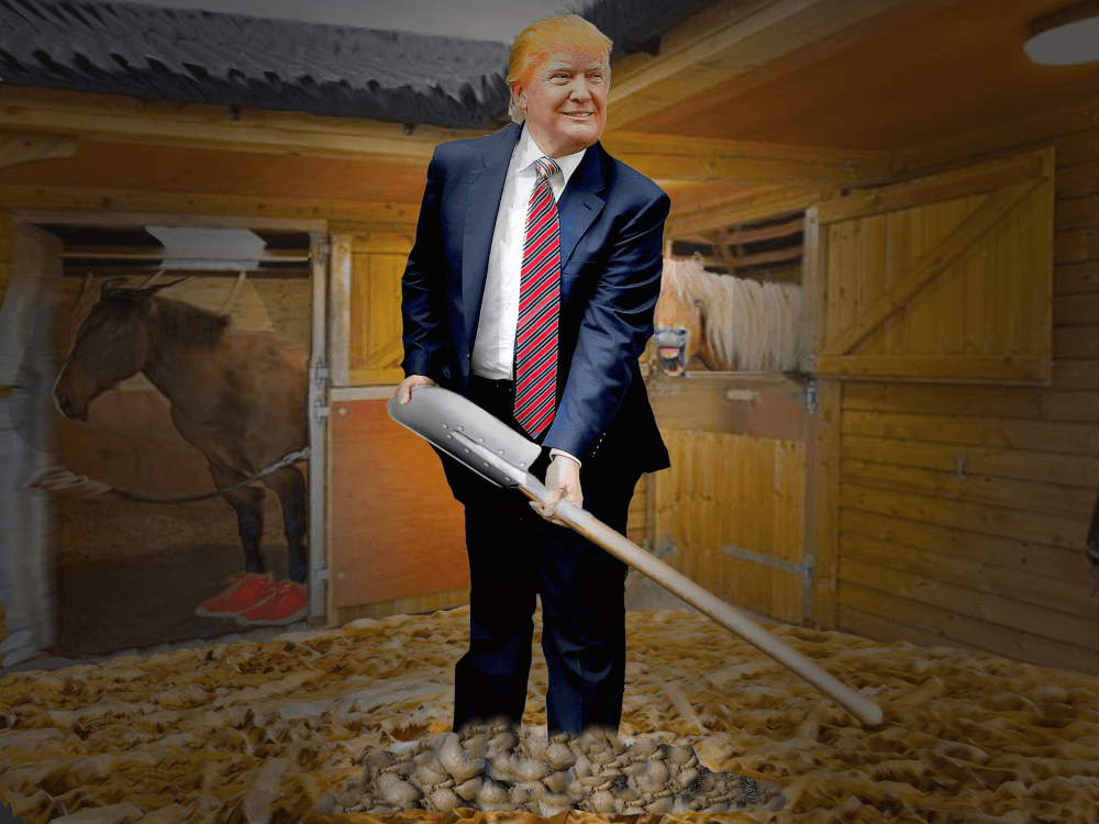 stable genius 12 trump stable genius - stable genius