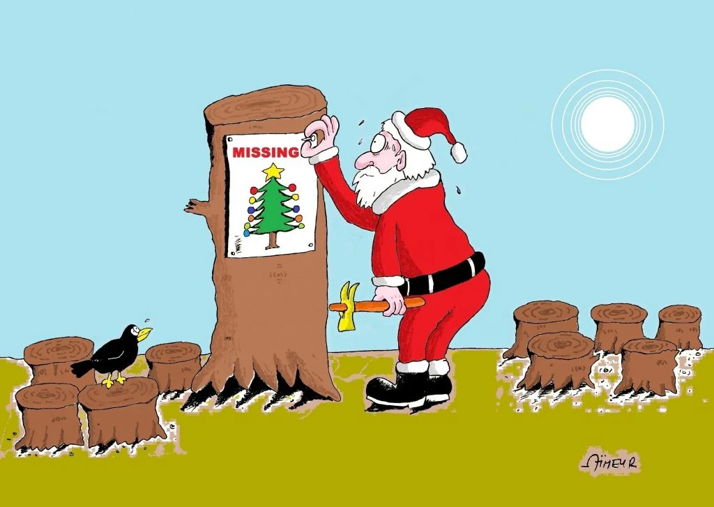 AIMEUR Youcef Algeria - Christmas Tree missing