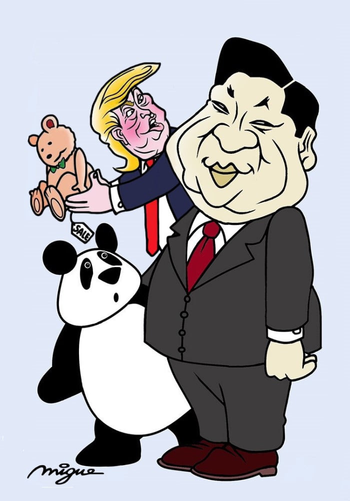 Beautiful present 11 Xi Jinping - Beautiful present