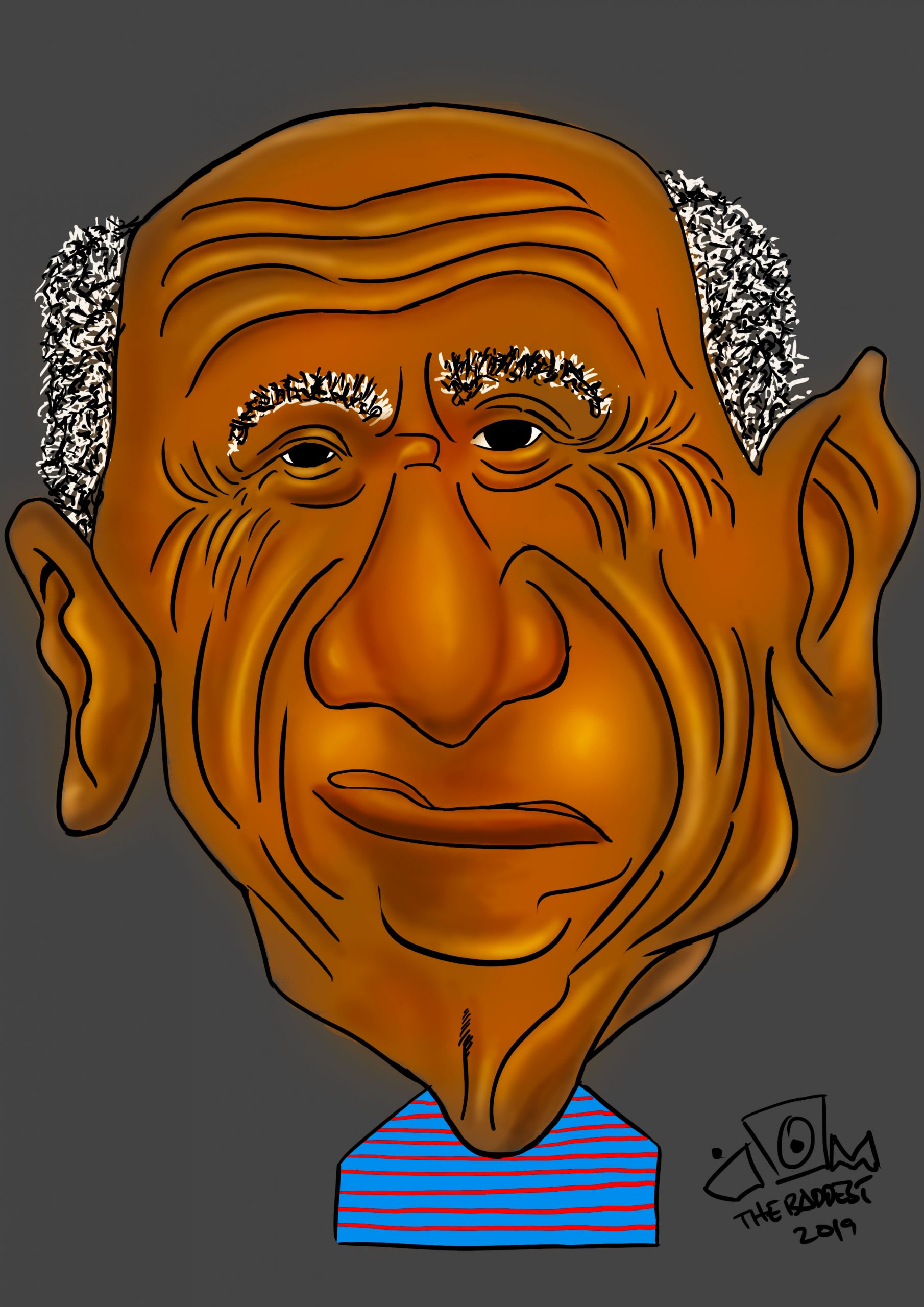 picasso scaled - My PICASSO