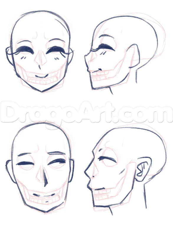 How To Draw An Anime Head Draw A Manga Head Step by Step Drawing Guide  by Dawn  DragoArt