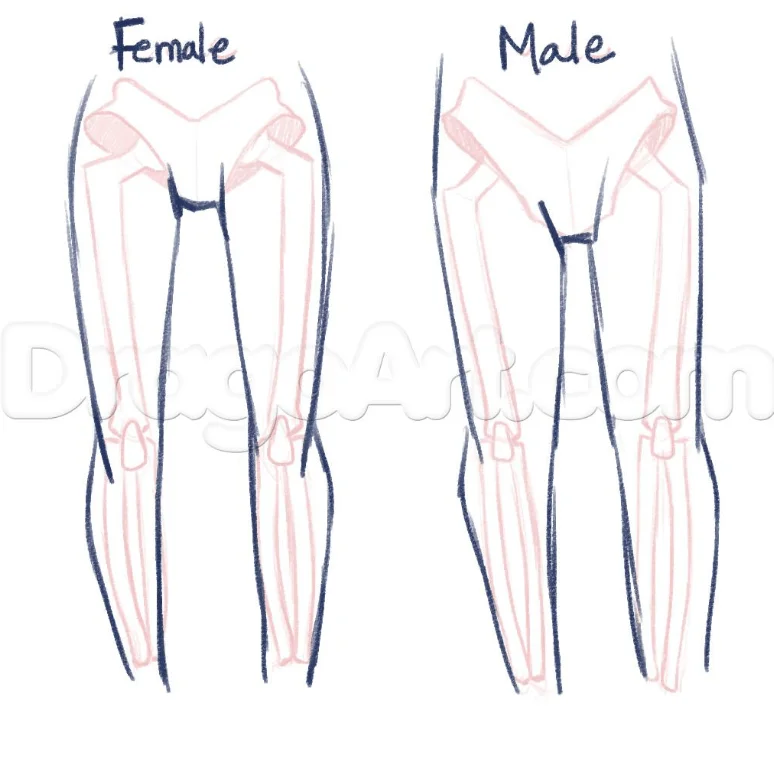 Differences between men and womens bodies in anime  Anime Art Magazine