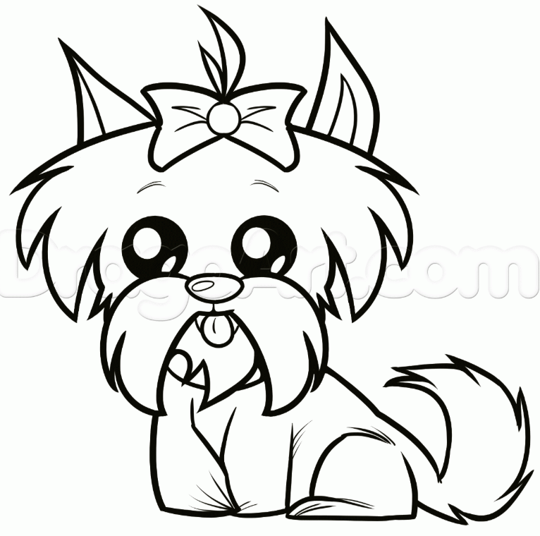 How To Draw A Shih Tzu, Easy Drawing Tutorial, 8 Steps - Toons Mag