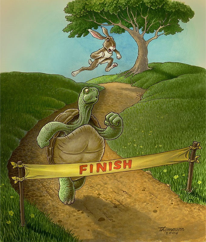 The Tortoise And The Hare - Toons Mag